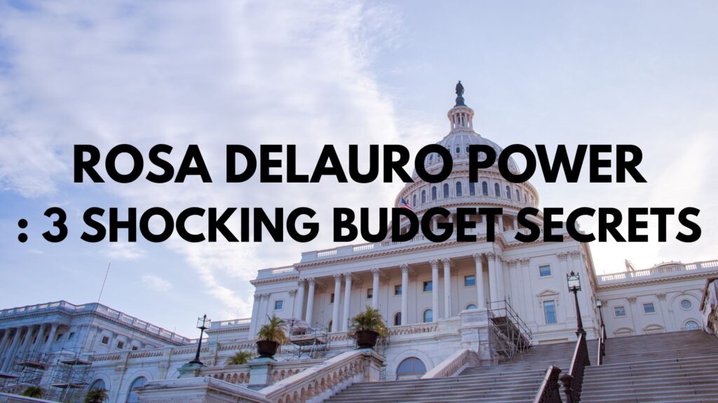 A professional infographic breakdown illustrating the legislative influence and role of Rosa DeLauro in the federal appropriations process.