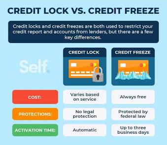 The Credit Freeze Shield